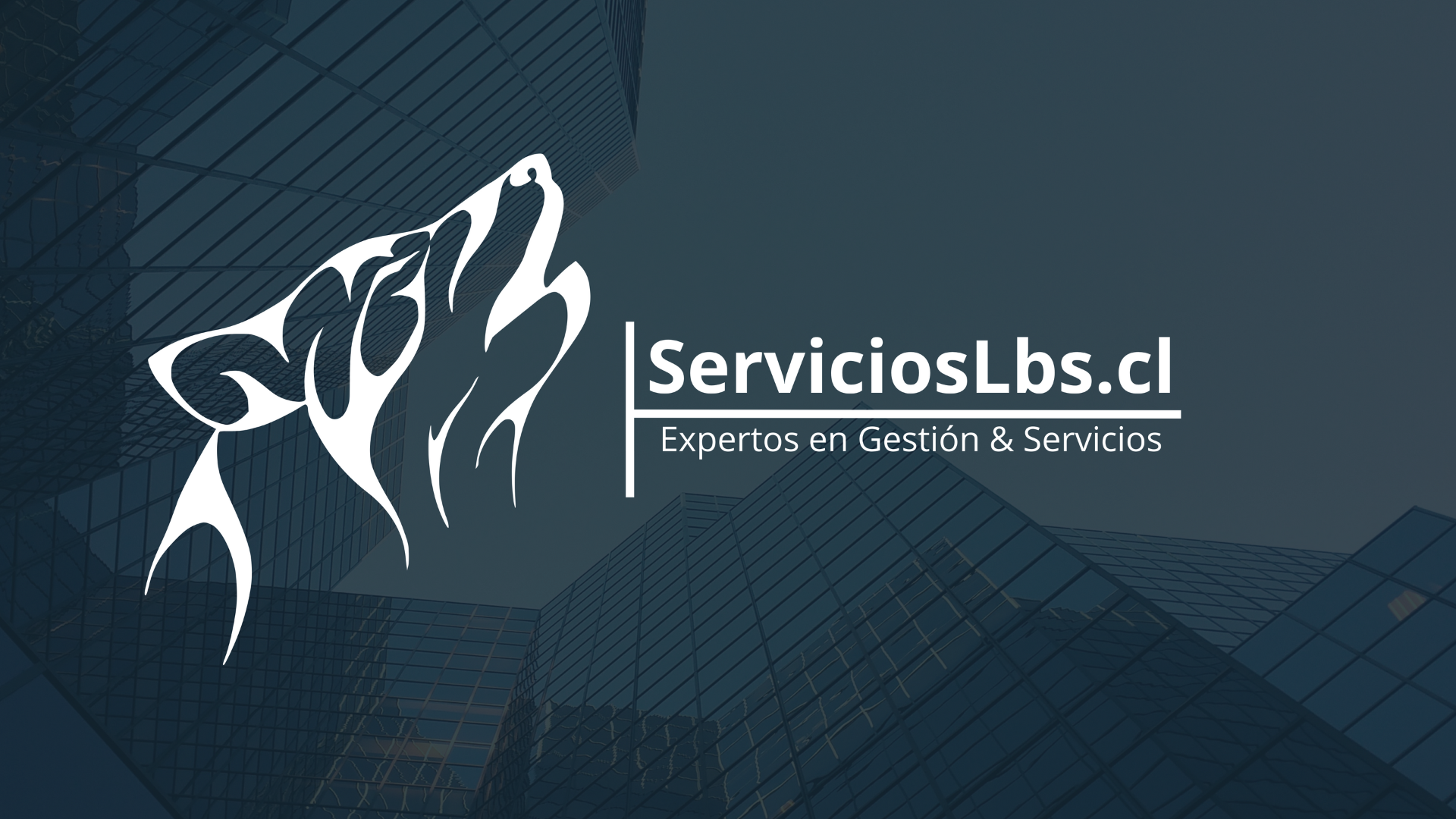 TASACION DE PROPIEDADES